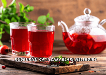 Kuşburnu Çayı Zararları Nelerdir?
