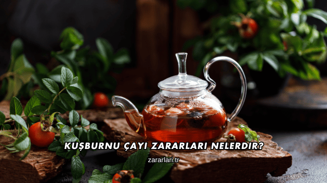 Kuşburnu Çayı Zararları Nelerdir?