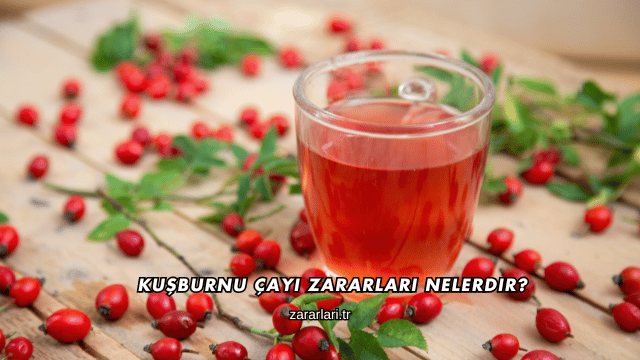 Kuşburnu Çayı Zararları Nelerdir?