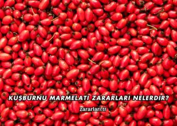 Kuşburnu Marmelatı Zararları Nelerdir?