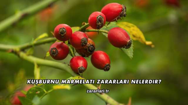 Kuşburnu Marmelatı Zararları Nelerdir?