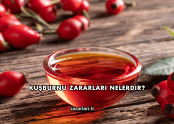 Kuşburnu Zararları Nelerdir?