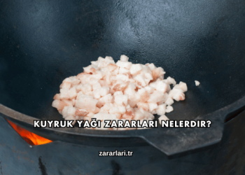 Kuyruk Yağı Zararları Nelerdir?
