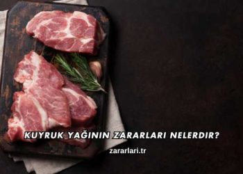 Kuyruk Yağının Zararları Nelerdir?