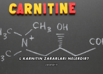 L Karnitin Zararları Nelerdir