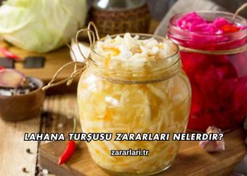 Lahana Turşusu Zararları Nelerdir?