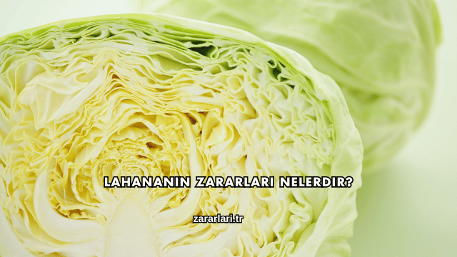 Lahananın Zararları Nelerdir?