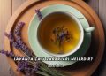 Lavanta Çayı Zararları Nelerdir?