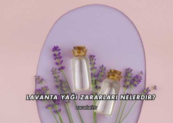 Lavanta Yağı Zararları Nelerdir?