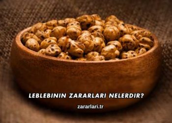 Leblebinin Zararları Nelerdir?
