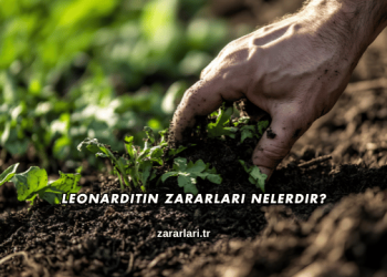 Leonarditin Zararları Nelerdir?
