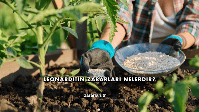 Leonarditin Zararları Nelerdir?