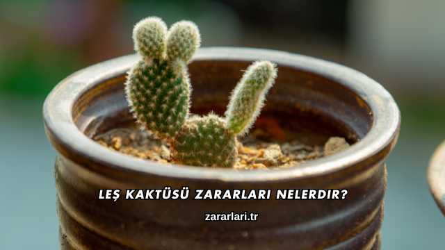 Leş Kaktüsü Zararları Nelerdir?