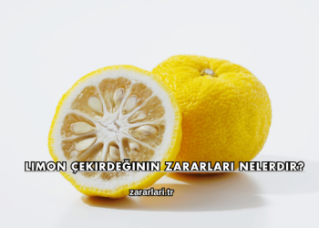 Limon Çekirdeğinin Zararları Nelerdir?Limon Çekirdeğinin Zararları Nelerdir?