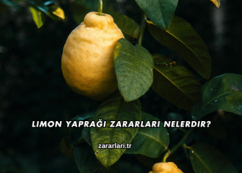 Limon Yaprağı Zararları Nelerdir?