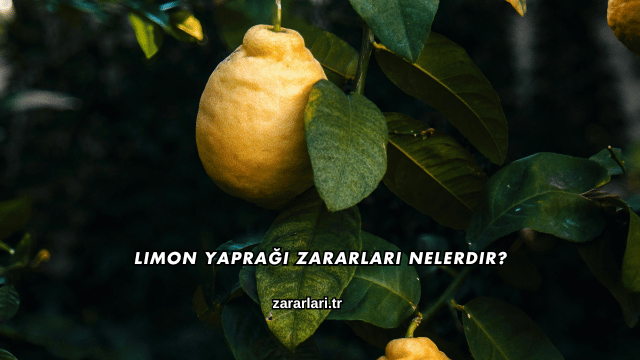 Limon Yaprağı Zararları Nelerdir?