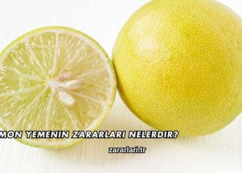 Limon Yemenin Zararları Nelerdir?