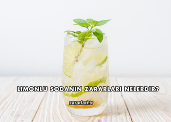 Limonlu Sodanın Zararları Nelerdir?