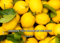 Limonun Yüze Zararları Nelerdir?