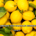 Limonun Yüze Zararları Nelerdir?
