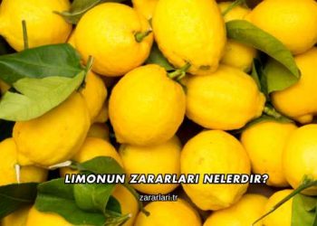 Limonun Zararları Nelerdir?