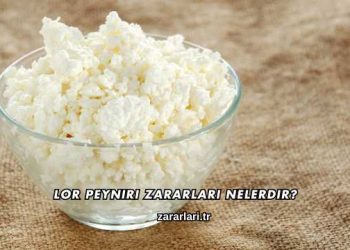 Lor Peyniri Zararları Nelerdir?