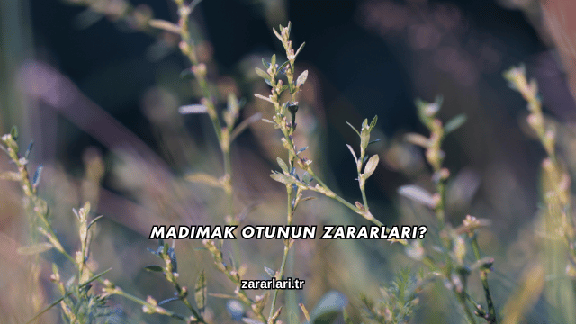 Madımak Otunun Zararları?