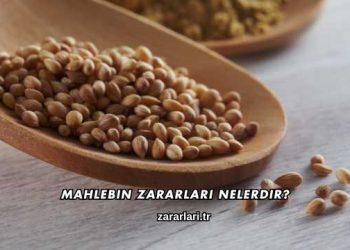 Mahlebin Zararları Nelerdir?