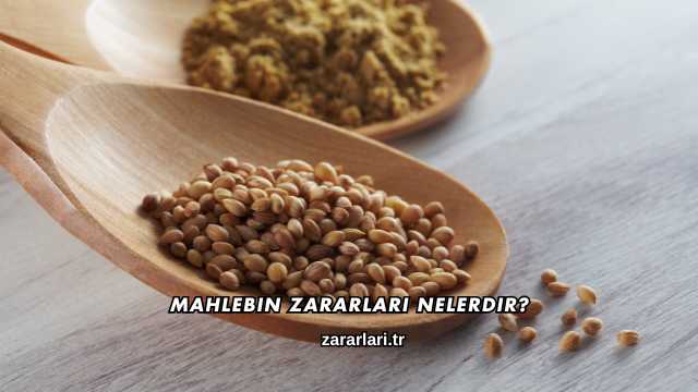 Mahlebin Zararları Nelerdir?