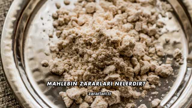 Mahlebin Zararları Nelerdir?