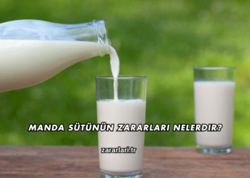 Manda Sütünün Zararları Nelerdir?