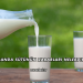 Manda Sütünün Zararları Nelerdir?