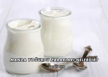 Manda Yoğurdu Zararları Nelerdir