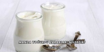 Manda Yoğurdu Zararları Nelerdir