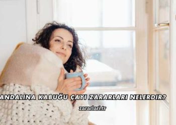 Mandalina Kabuğu Çayı Zararları Nelerdir?