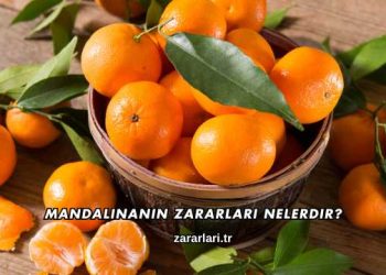 Mandalinanın Zararları Nelerdir?