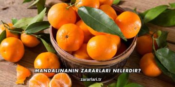 Mandalinanın Zararları Nelerdir?