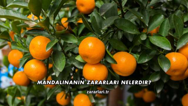 Mandalinanın Zararları Nelerdir?