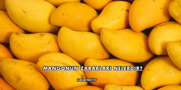 Mangonun Zararları Nelerdir?