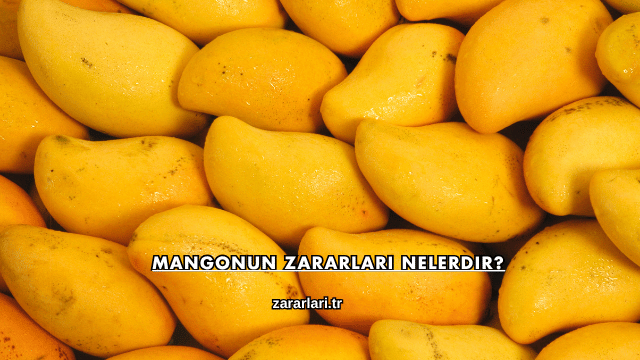 Mangonun Zararları Nelerdir?