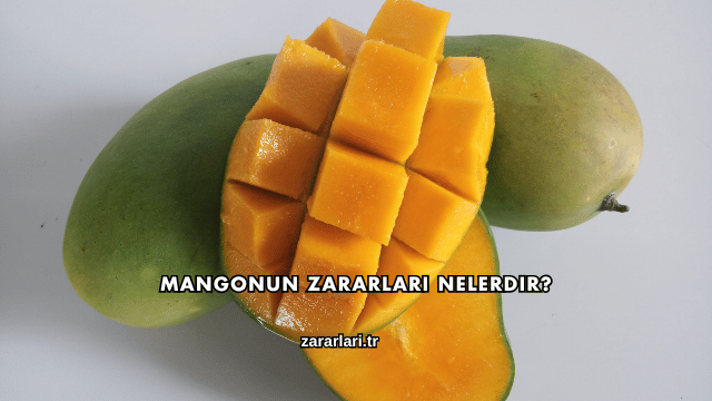 Mangonun Zararları Nelerdir?