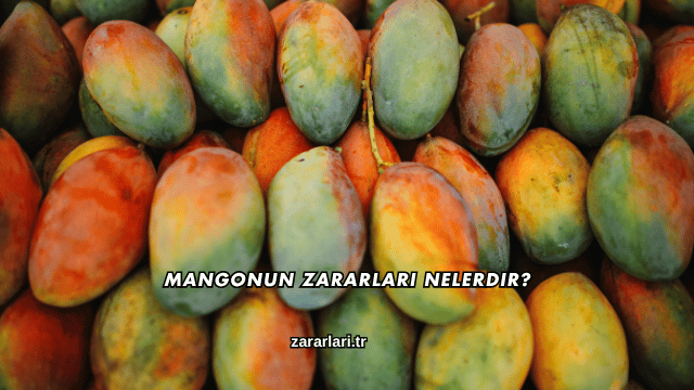 Mangonun Zararları Nelerdir?