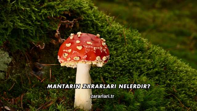 Mantarın Zararları Nelerdir?