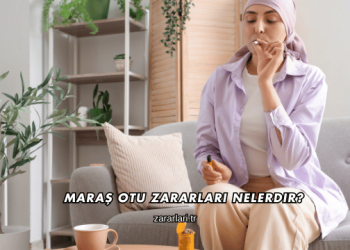 Maraş Otu Zararları Nelerdir?