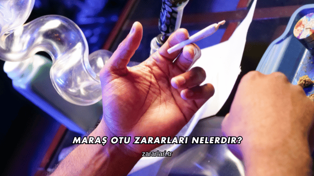 Maraş Otu Zararları Nelerdir?