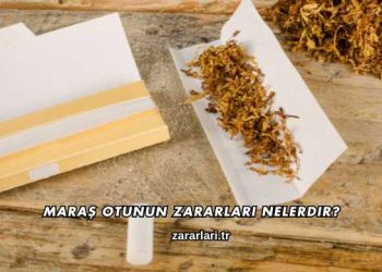 Maraş Otunun Zararları Nelerdir?