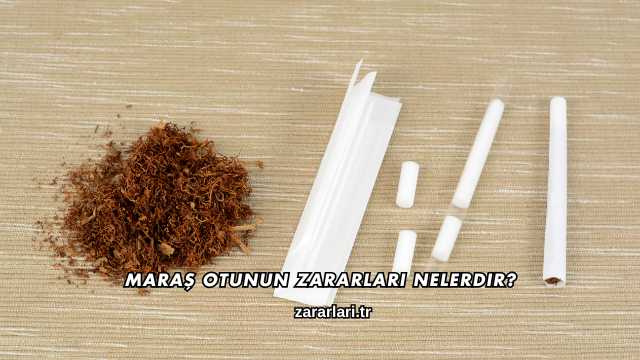Maraş Otunun Zararları Nelerdir?