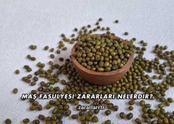 Maş Fasulyesi Zararları Nelerdir?