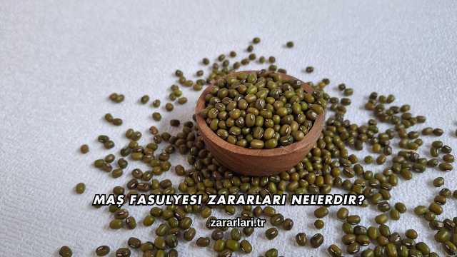 Maş Fasulyesi Zararları Nelerdir?