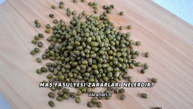 Maş Fasulyesi Zararları Nelerdir?